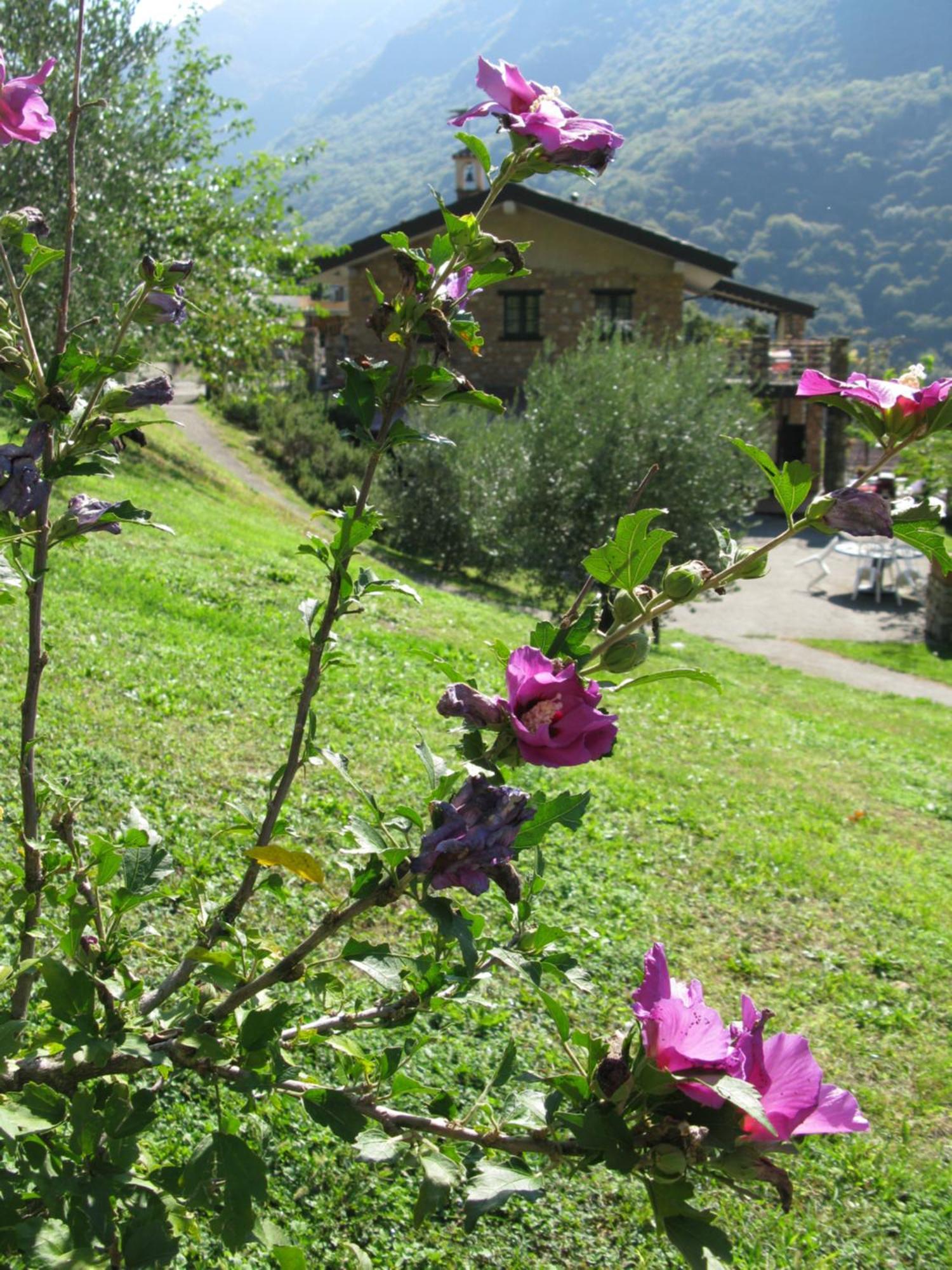 Chalet Della Rota Marone Esterno foto